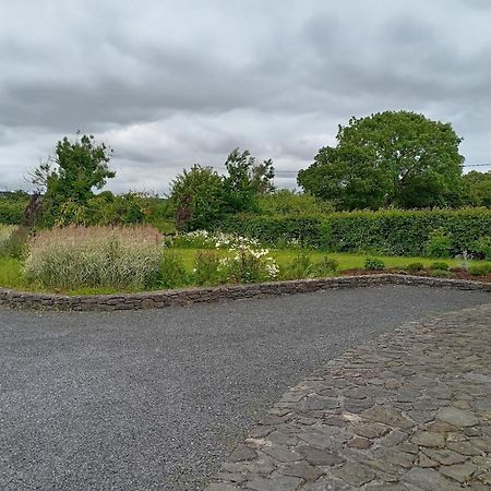 Conveniently Located House To Enjoy All Of Kerry Tralee Exterior photo
