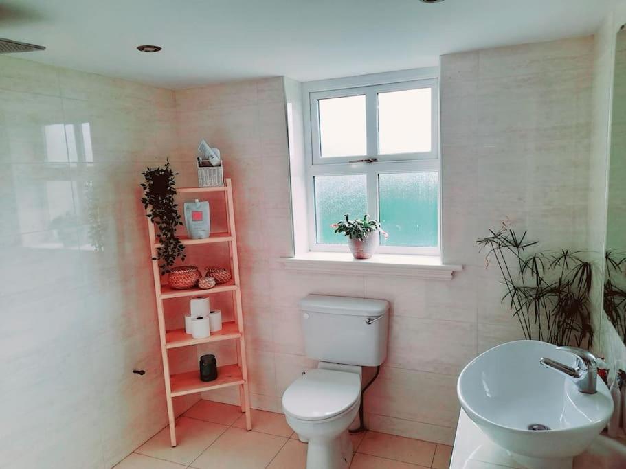 Conveniently Located House To Enjoy All Of Kerry Tralee Exterior photo